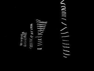 Minimalistic abstract animation of upward growth lines on a dark sleek background.