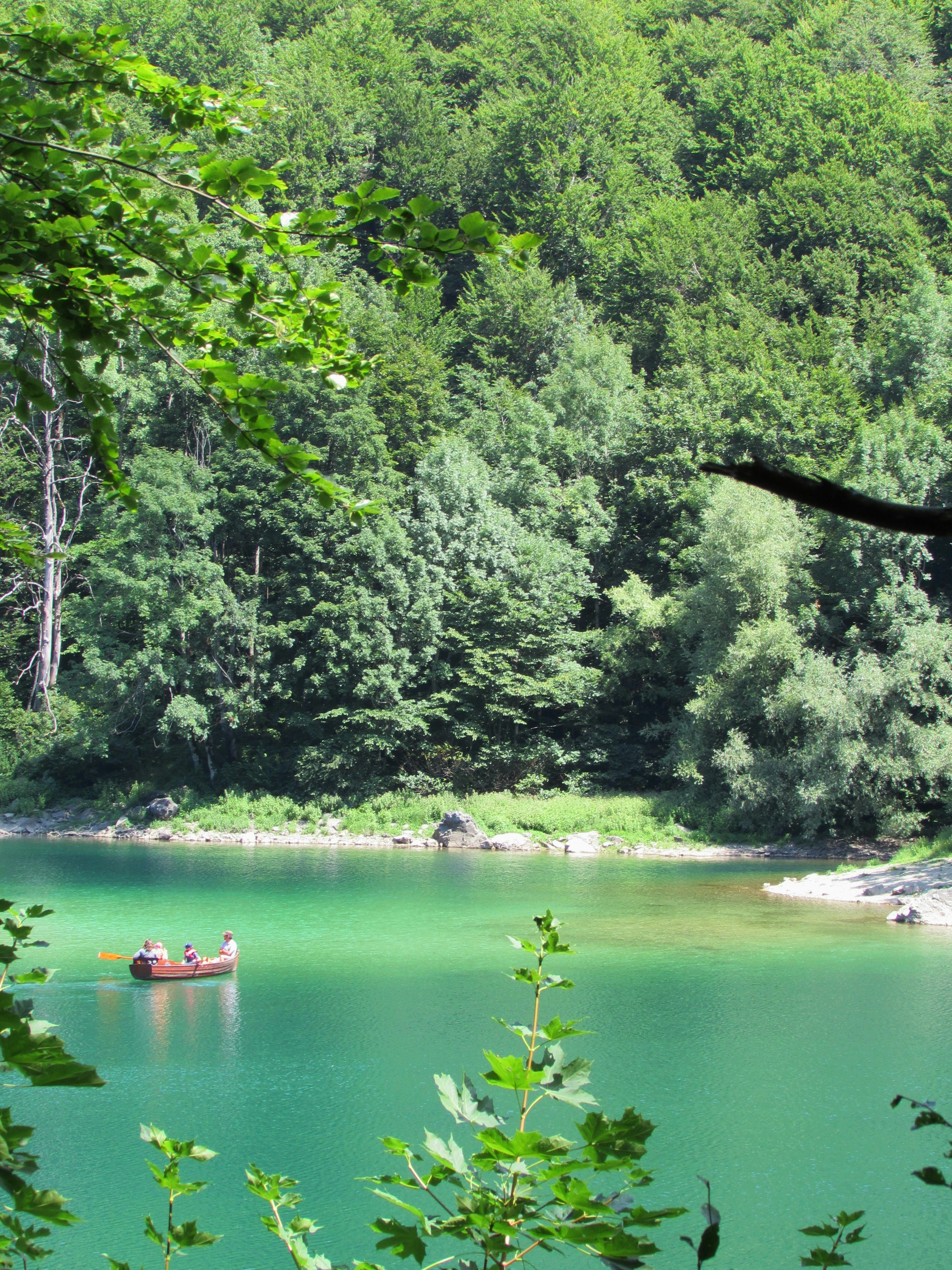 Photo by andjela_stamenkovic