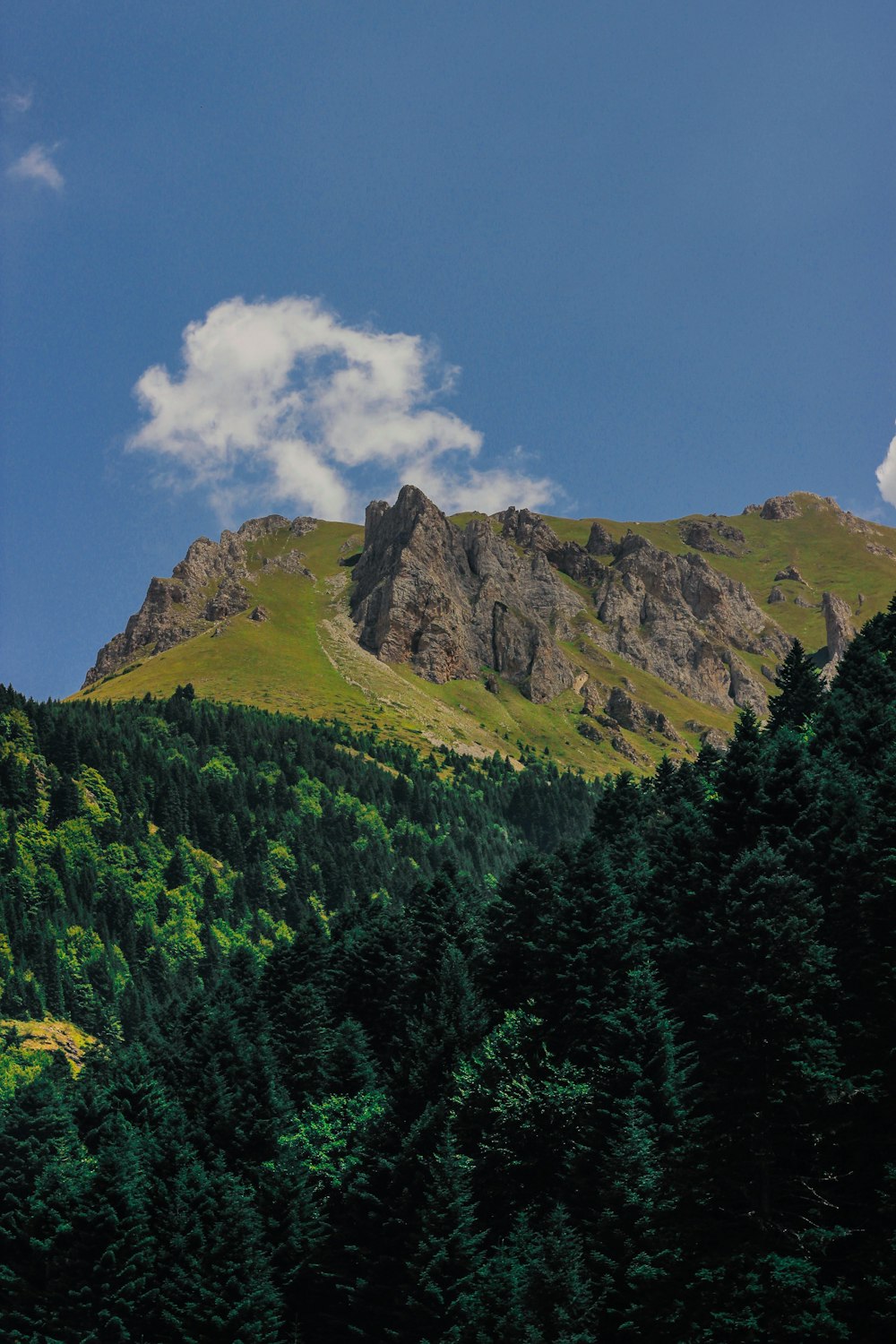 Photographie aérienne forêt montagne