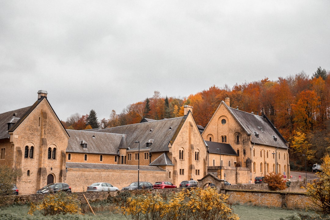 brown concrete buildings