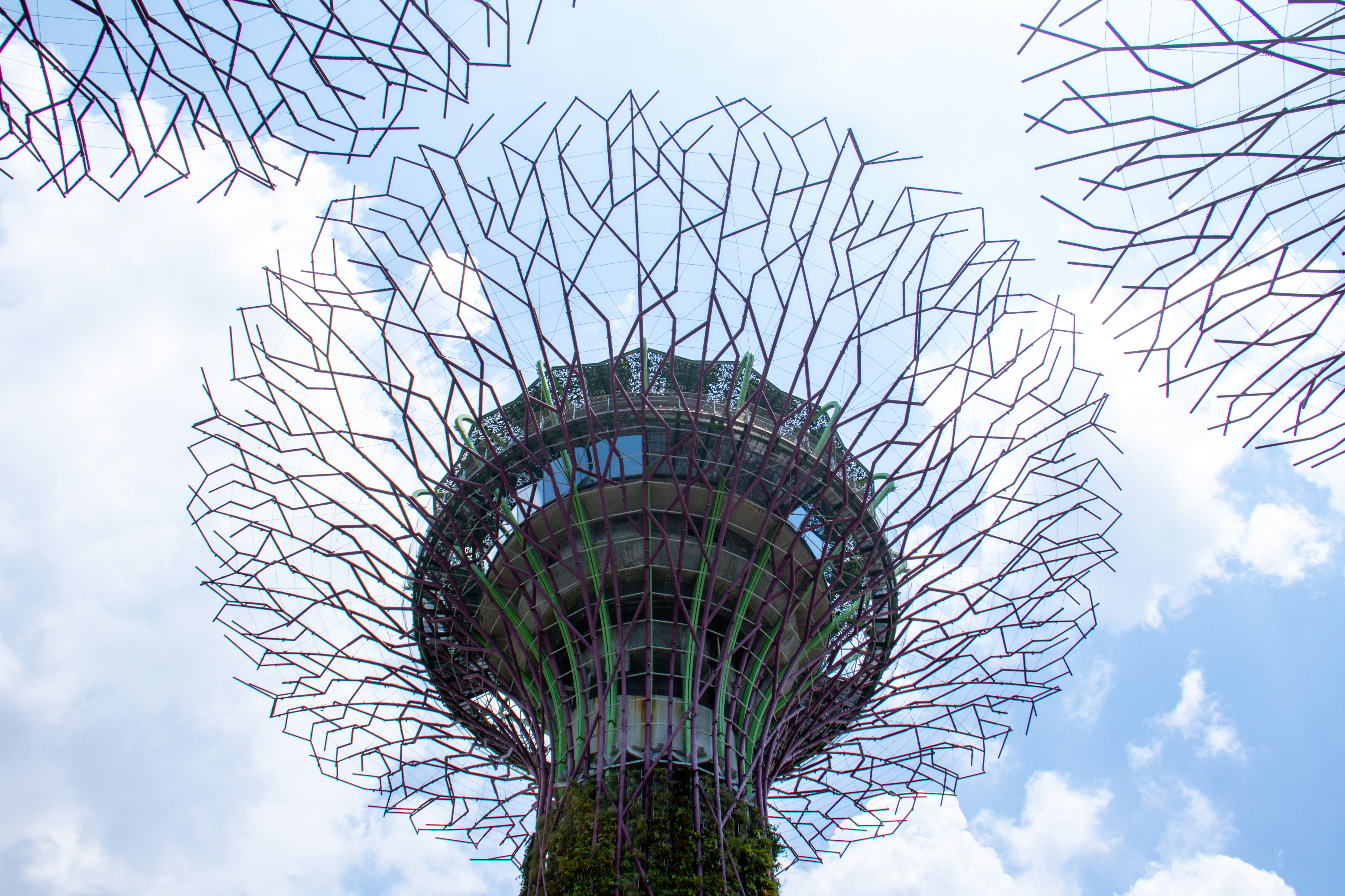 Garden Rhapsody, Singapore