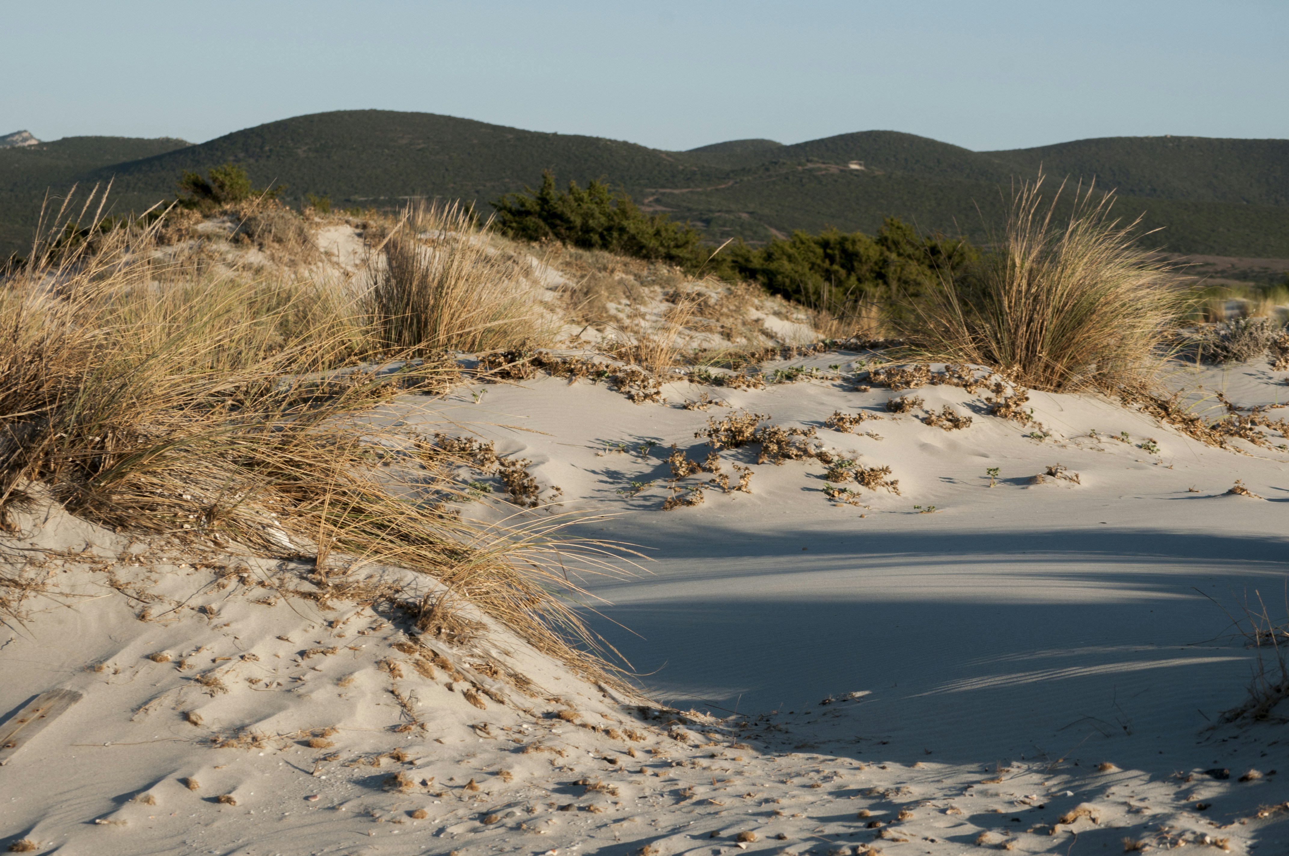 Photo by yuli_superson