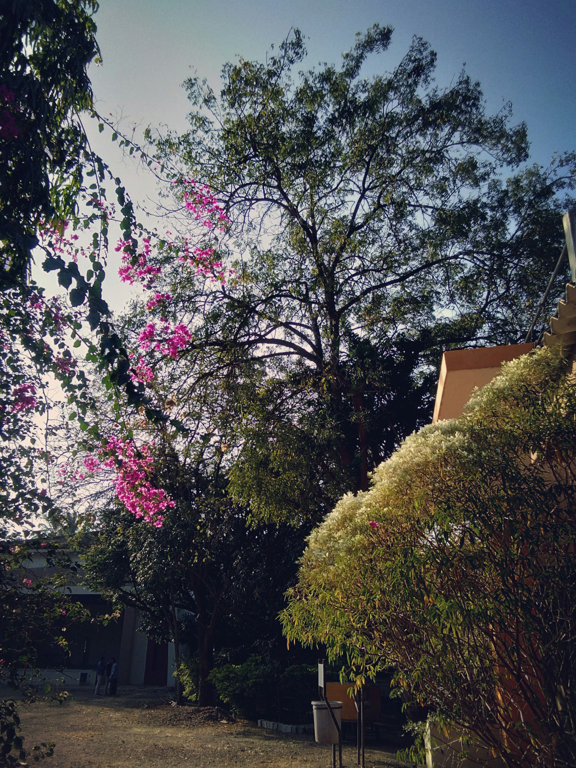 Photo by janhaviijay_1