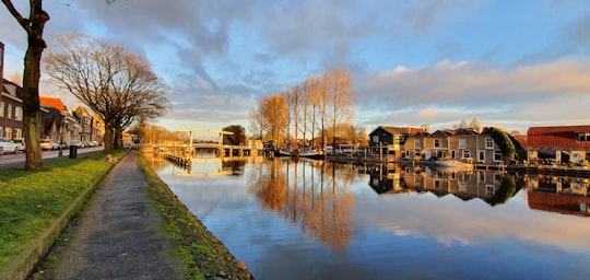 houses beside body of water in Weesp Netherlands
