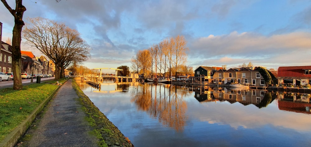 houses beside body of water