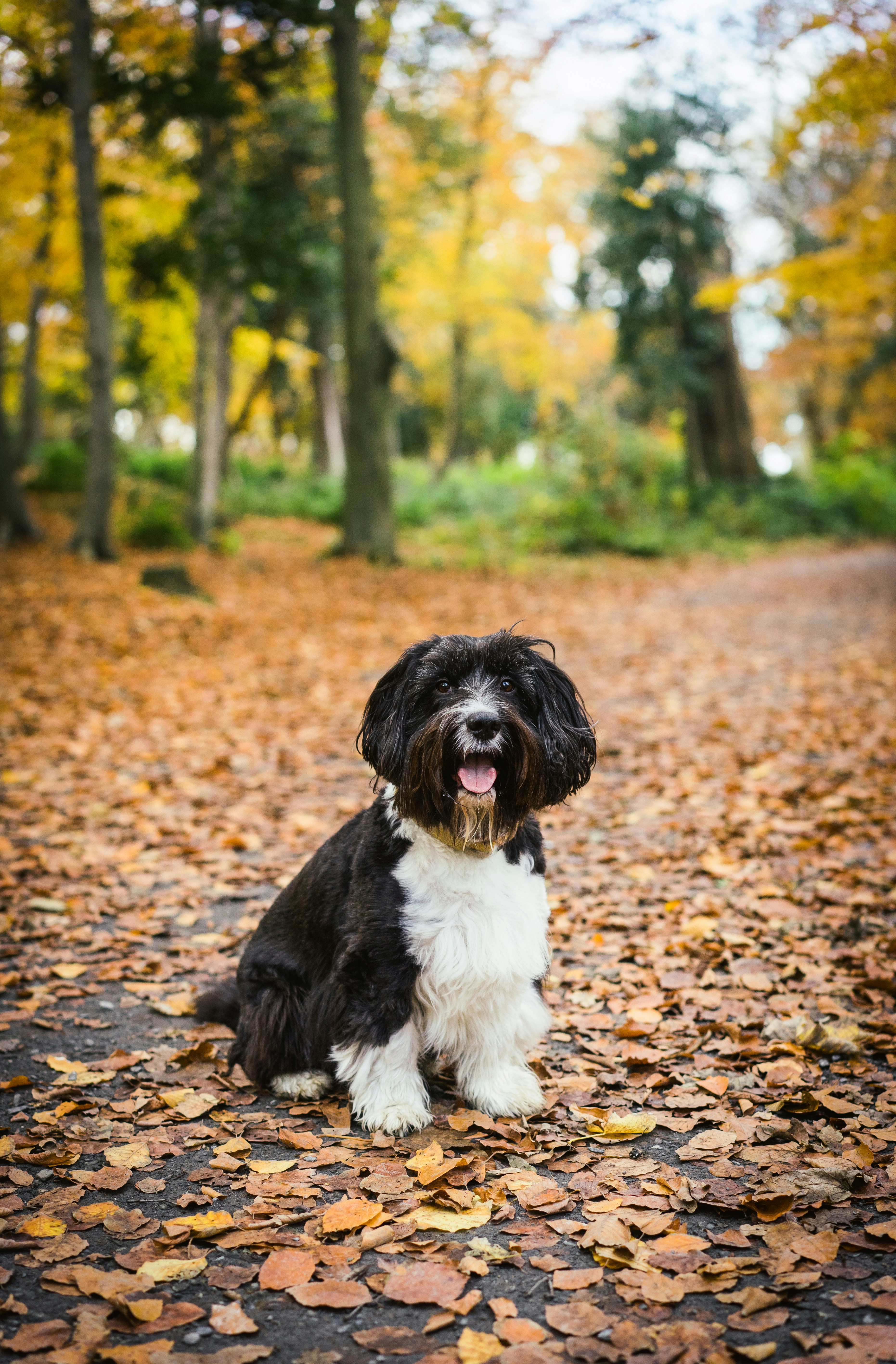 Photo by keizgoesboom