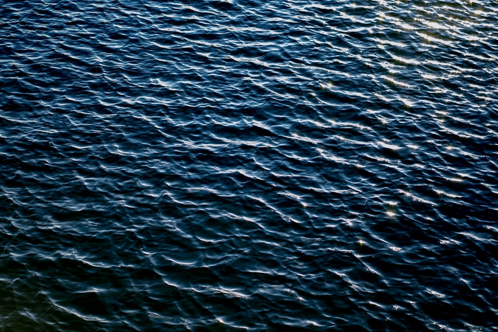 blue body of water during daytime