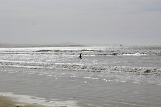 person walking on seashore in Essaouira Morocco