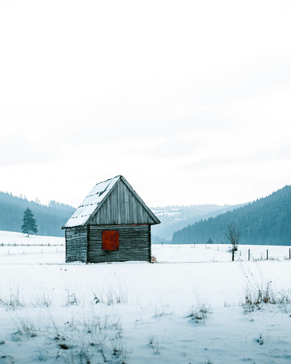 gray wooden house on snowy field viewing mountain