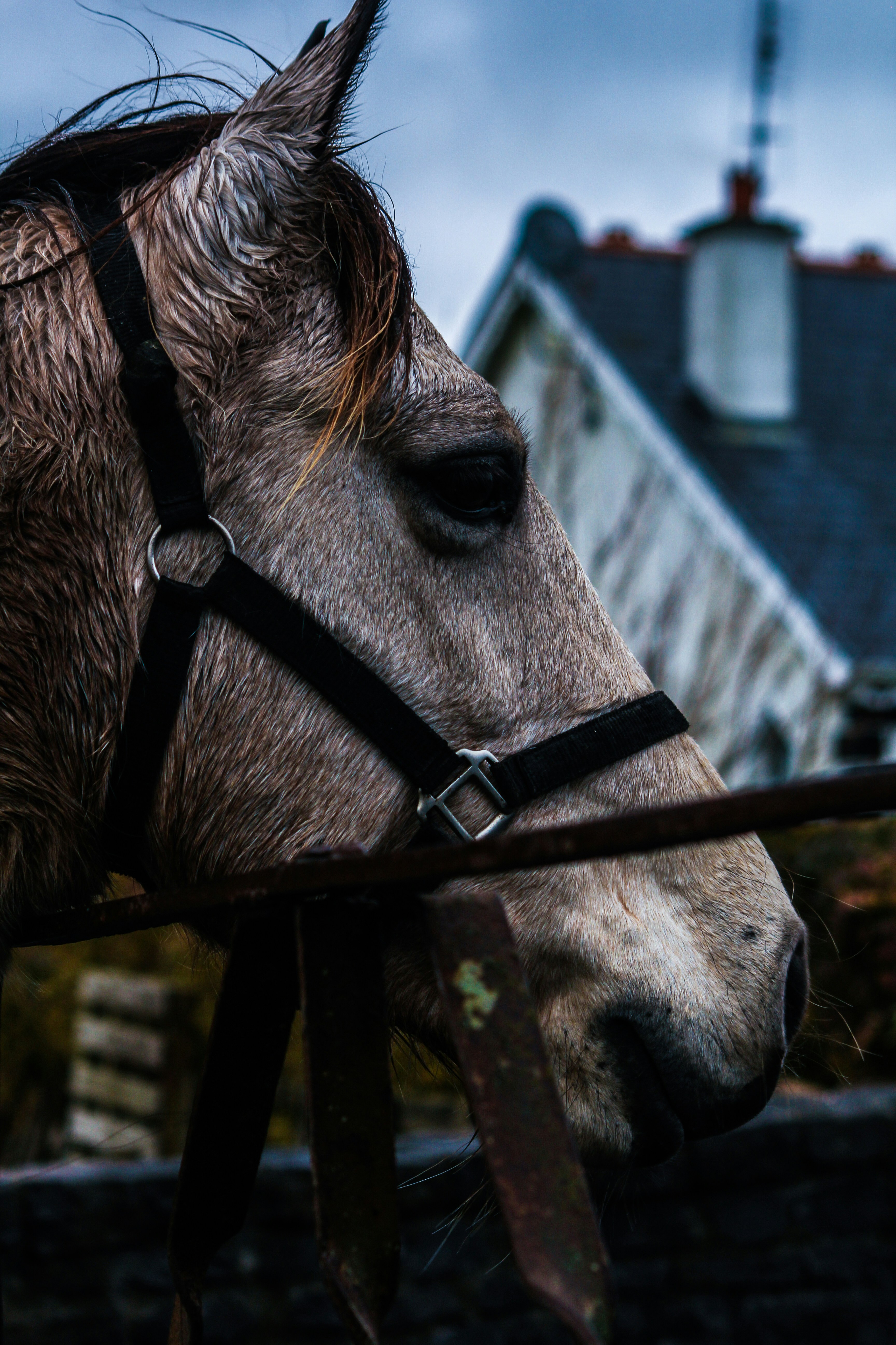 Photo by lokisprints