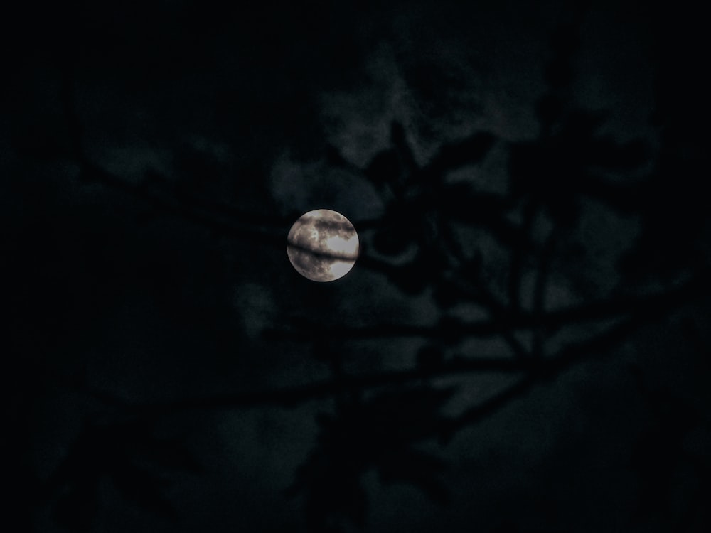 Photographie en niveaux de gris de la pleine lune