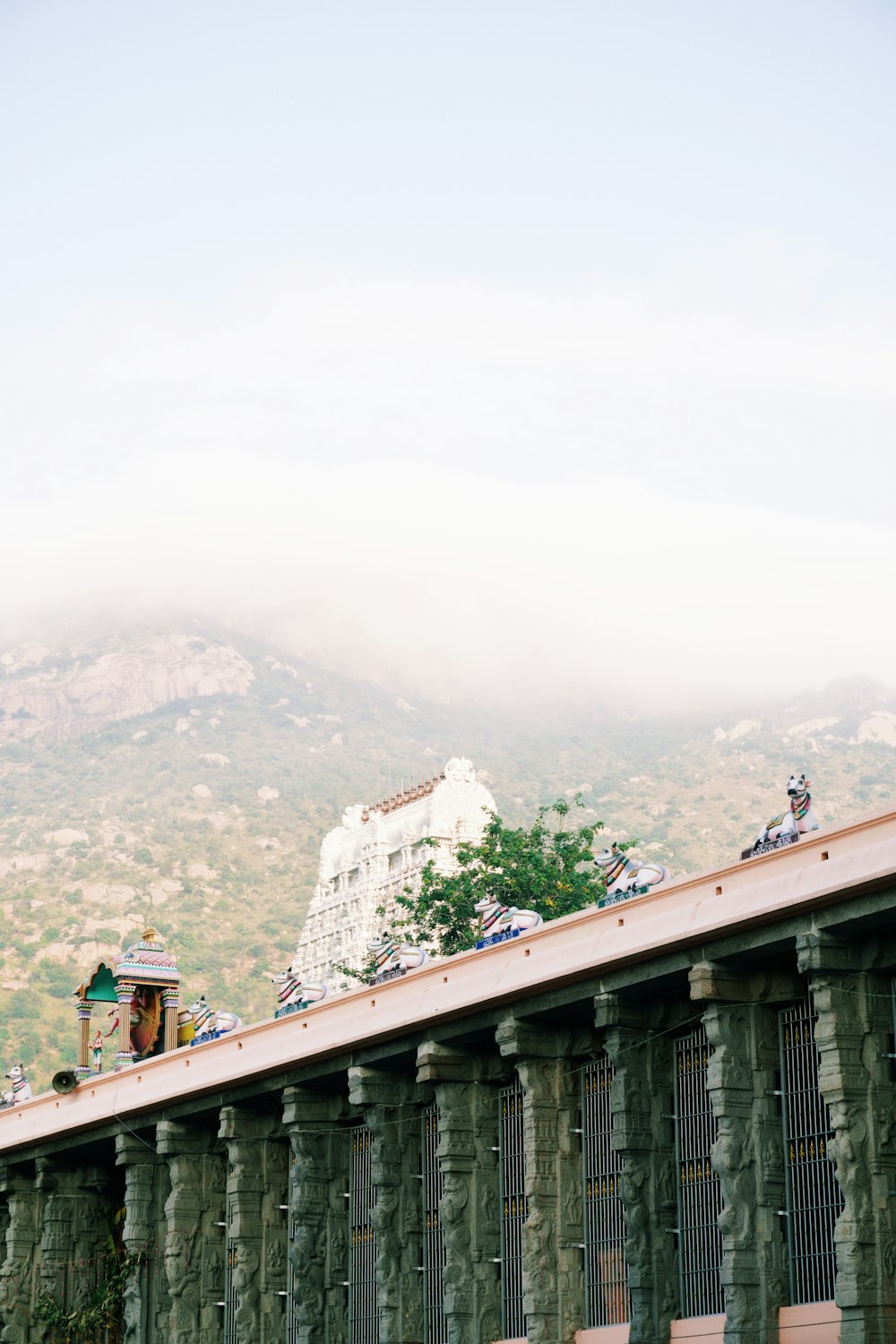 Fotografía de montaña