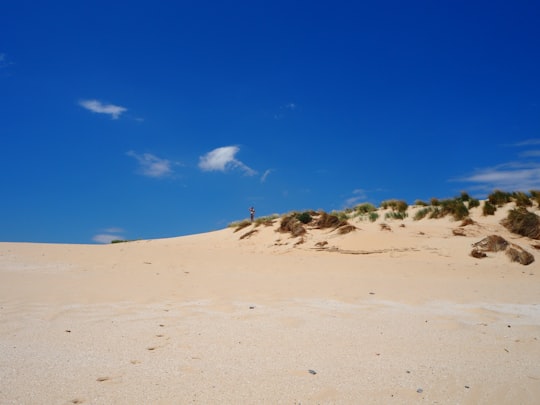 green grass on brown sand during daytime in Tarifa Spain