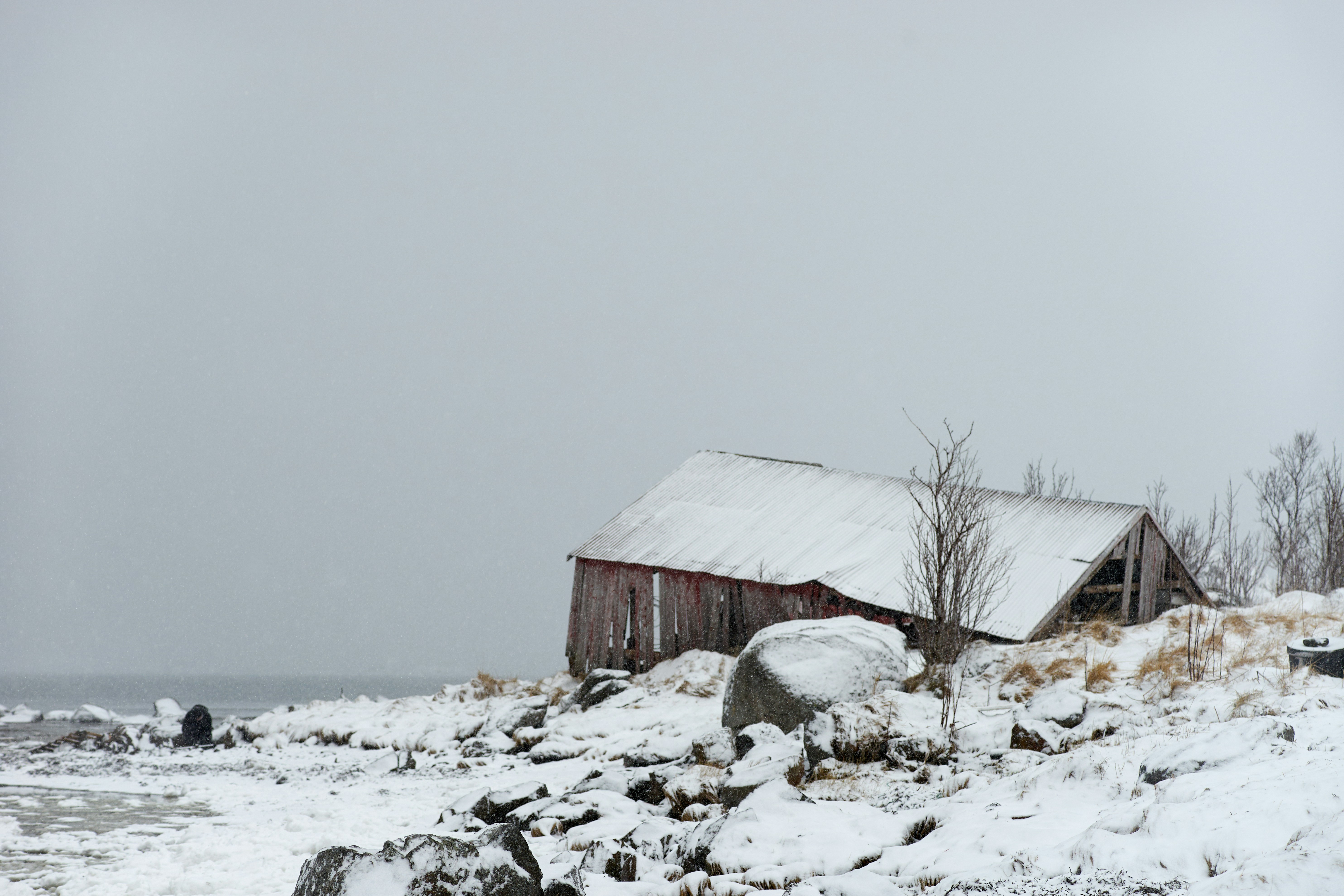 Photo by wolfgang_hasselmann