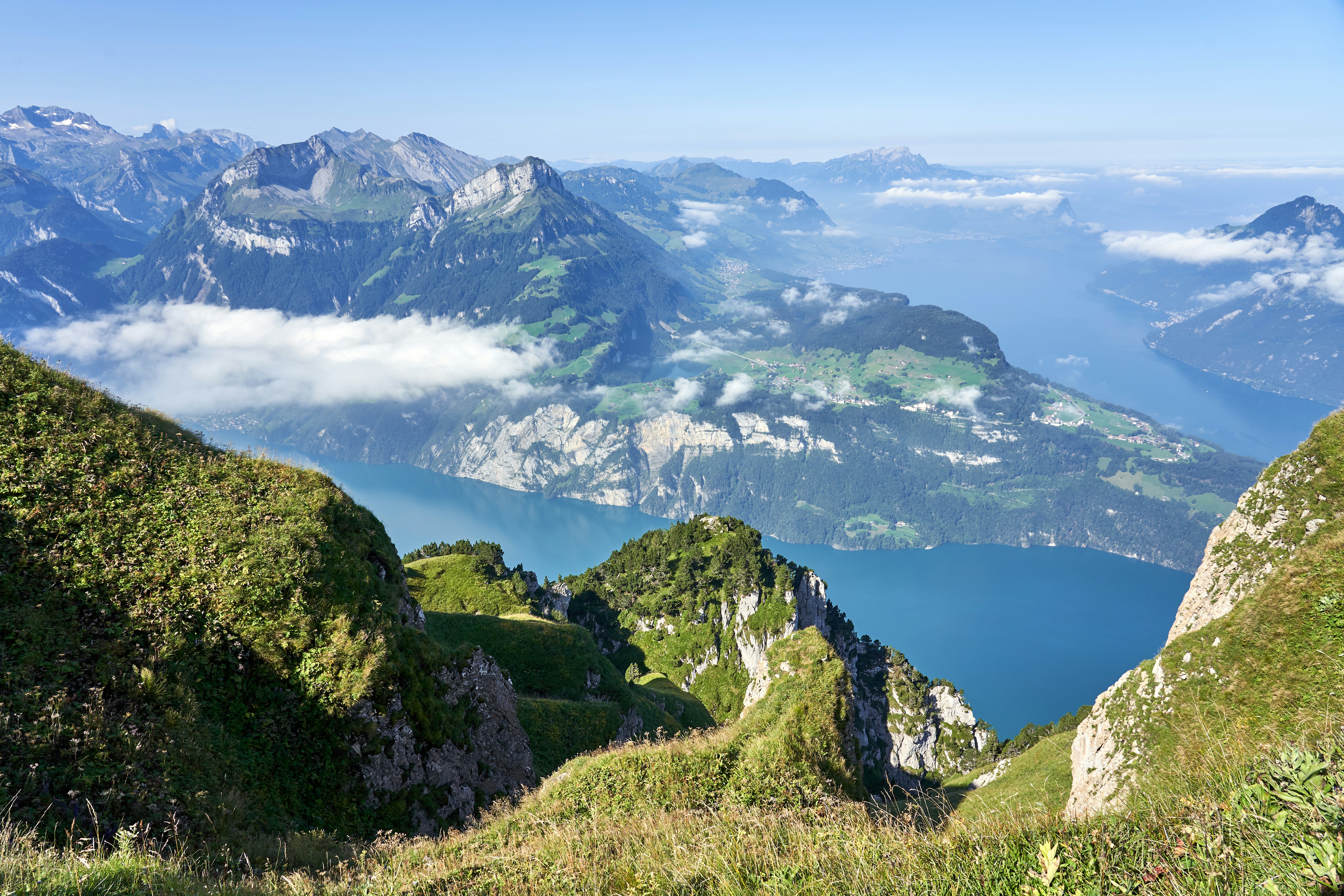 Photo by wolfgang_hasselmann