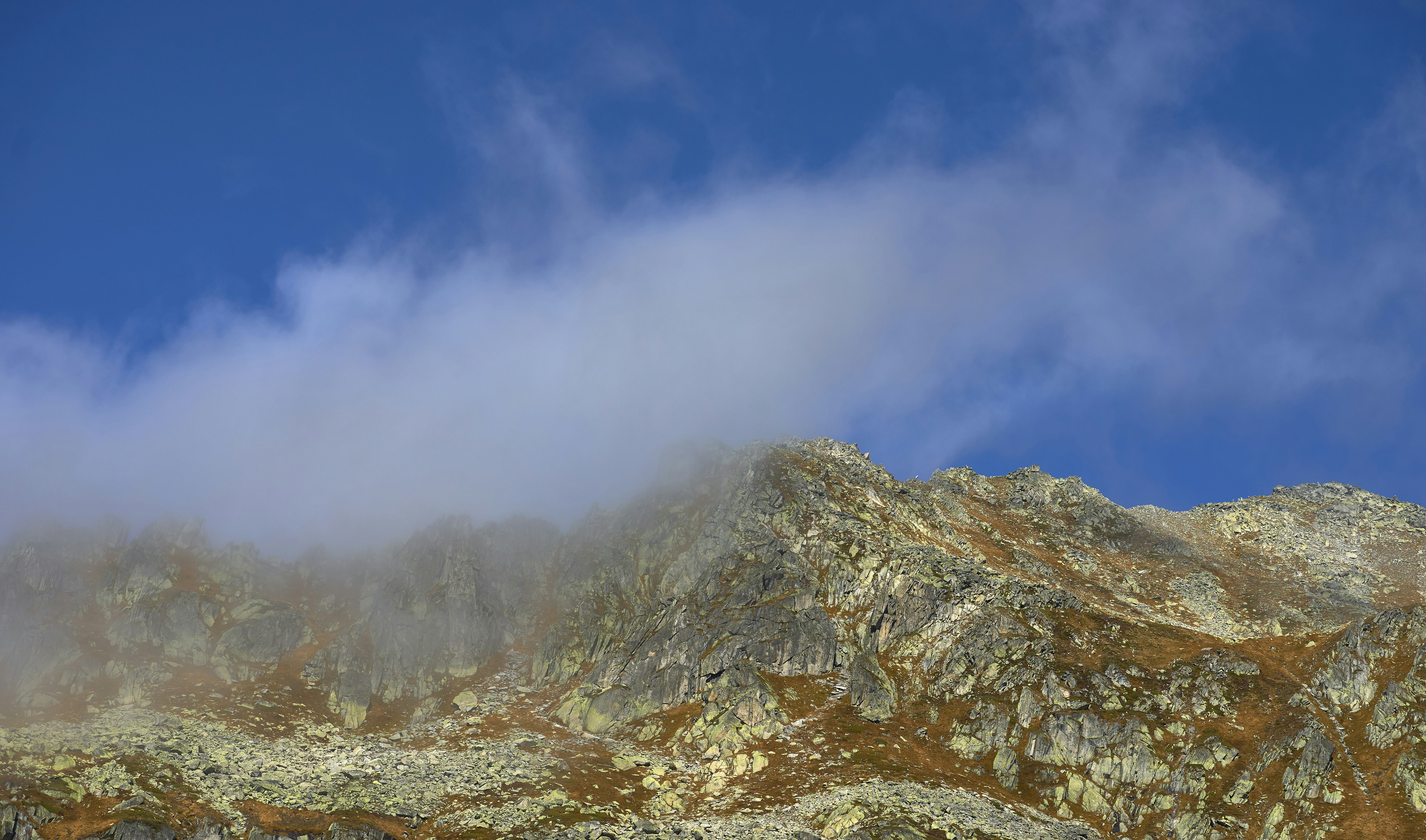 Photo by wolfgang_hasselmann