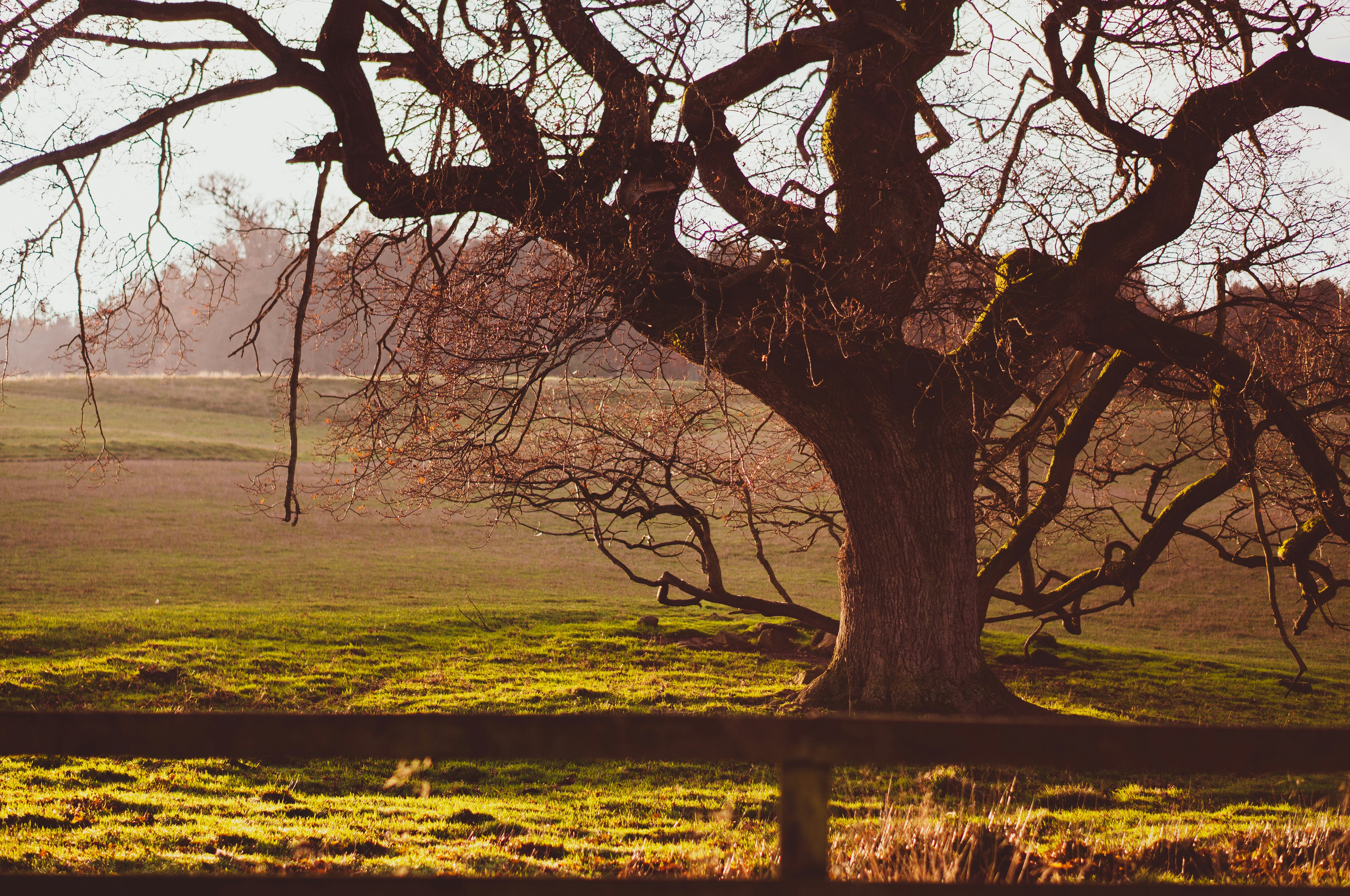 Photo by eilisgarvey