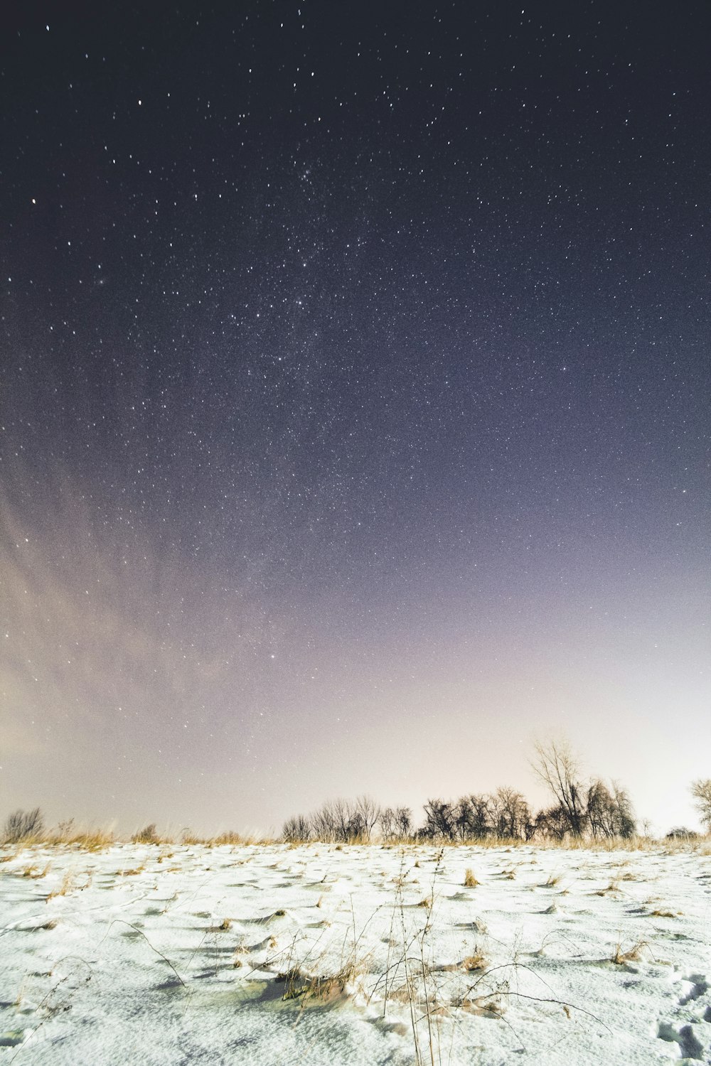snow-covered ground under sky full of stars