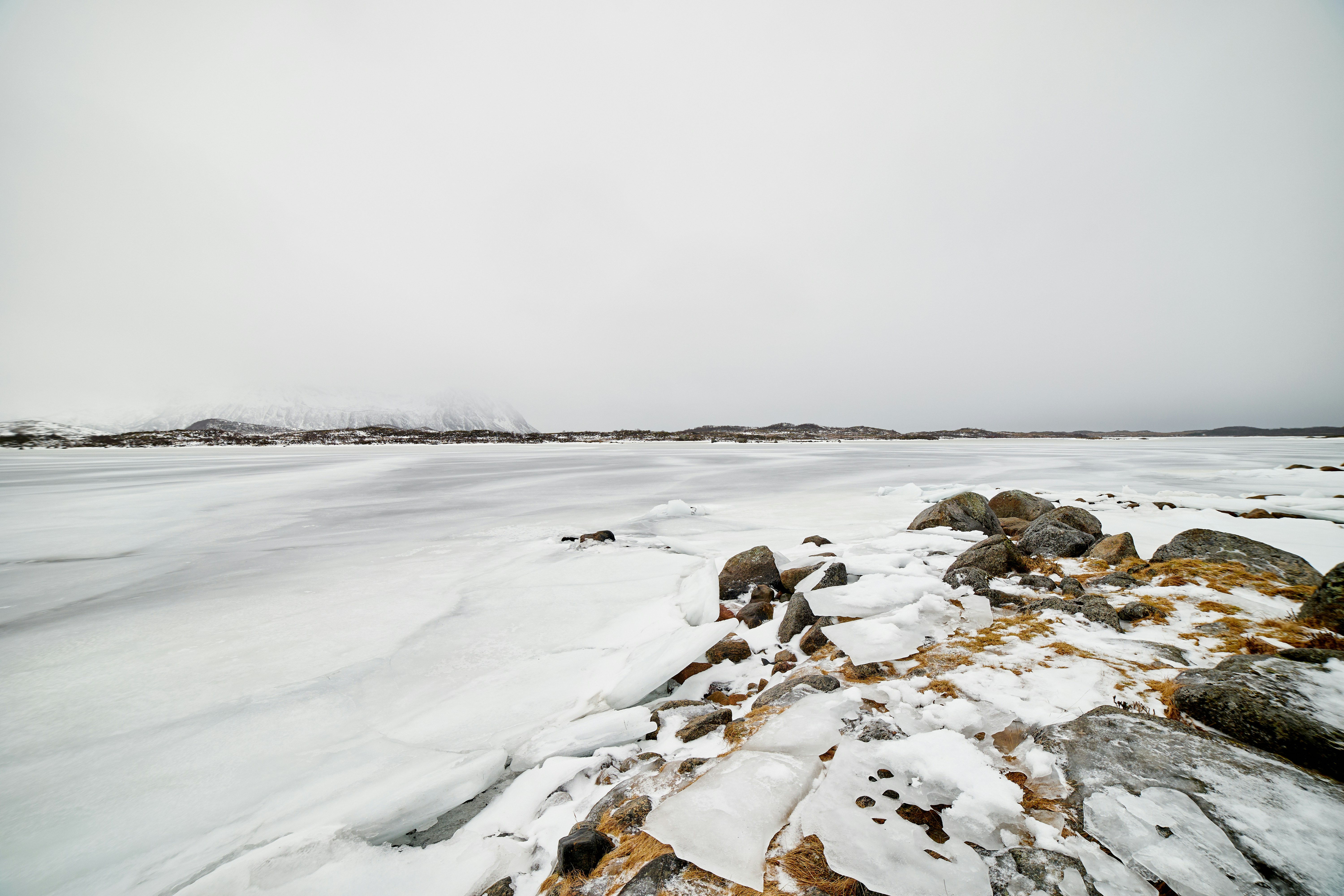 Photo by wolfgang_hasselmann