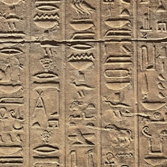 A detailed close-up of ancient Egyptian hieroglyphs carved into a stone surface. The carvings depict various symbols and figures, including animals and abstract shapes, organized in vertical columns. The stone has a textured surface, and the lighting creates shadows that accentuate the depth of the engravings.