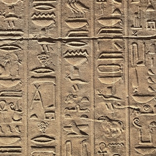 A detailed close-up of ancient Egyptian hieroglyphs carved into a stone surface. The carvings depict various symbols and figures, including animals and abstract shapes, organized in vertical columns. The stone has a textured surface, and the lighting creates shadows that accentuate the depth of the engravings.