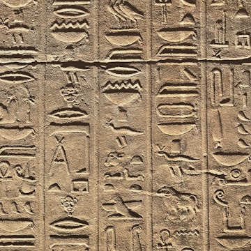 A detailed close-up of ancient Egyptian hieroglyphs carved into a stone surface. The carvings depict various symbols and figures, including animals and abstract shapes, organized in vertical columns. The stone has a textured surface, and the lighting creates shadows that accentuate the depth of the engravings.