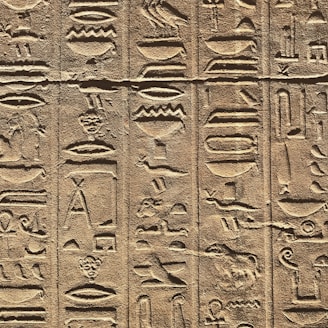 A detailed close-up of ancient Egyptian hieroglyphs carved into a stone surface. The carvings depict various symbols and figures, including animals and abstract shapes, organized in vertical columns. The stone has a textured surface, and the lighting creates shadows that accentuate the depth of the engravings.