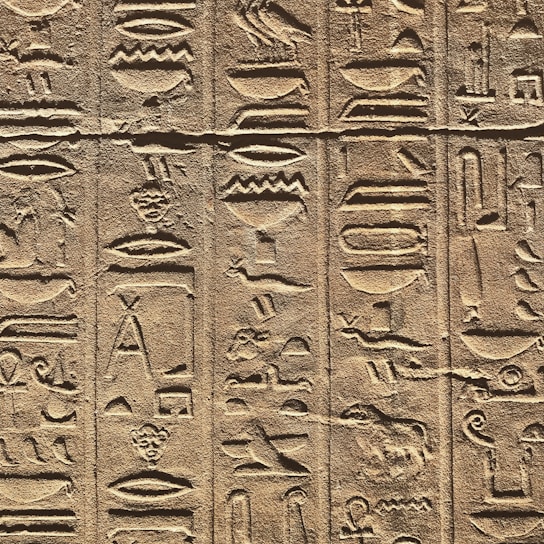 A detailed close-up of ancient Egyptian hieroglyphs carved into a stone surface. The carvings depict various symbols and figures, including animals and abstract shapes, organized in vertical columns. The stone has a textured surface, and the lighting creates shadows that accentuate the depth of the engravings.