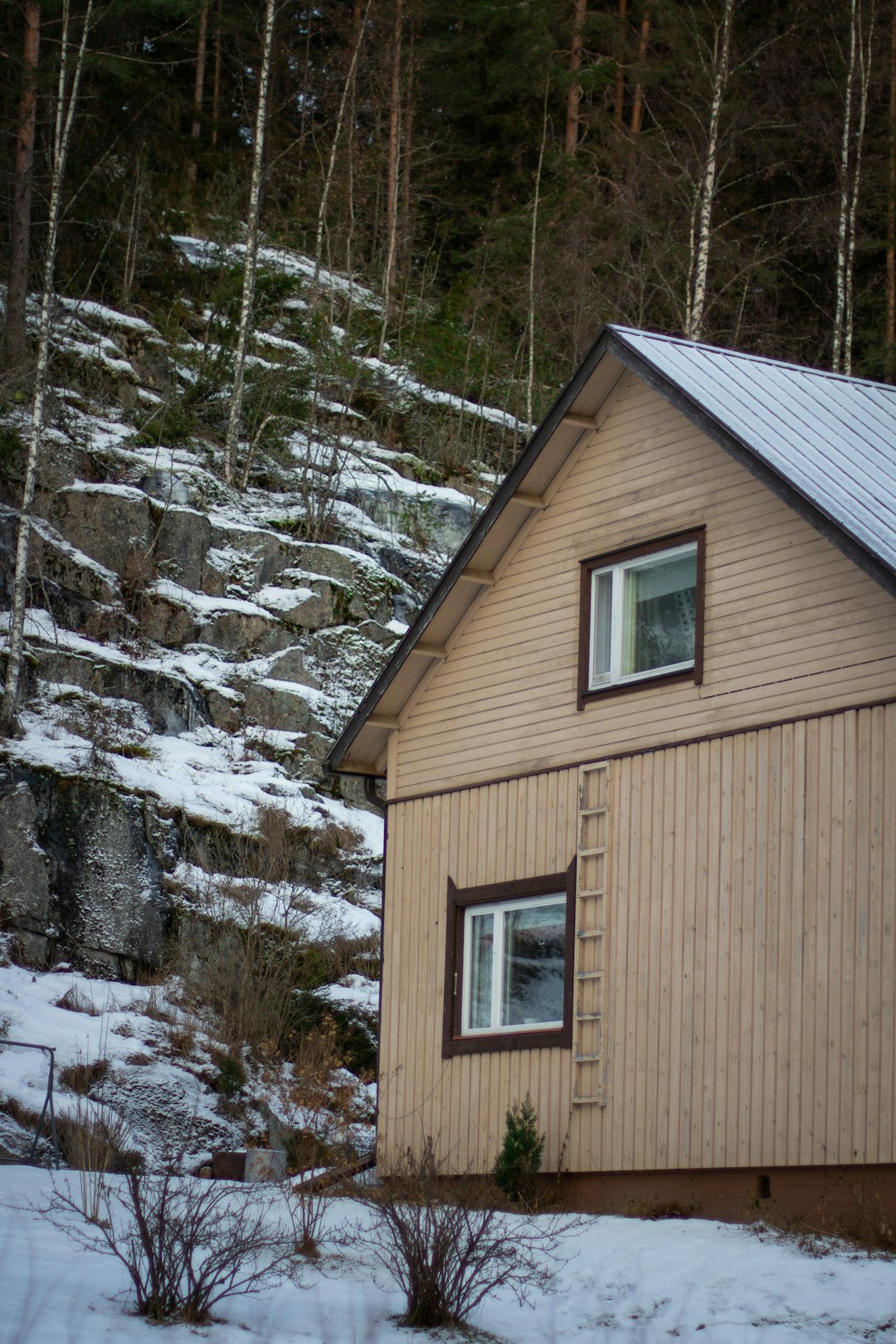 brown wooden house near field covered with snow