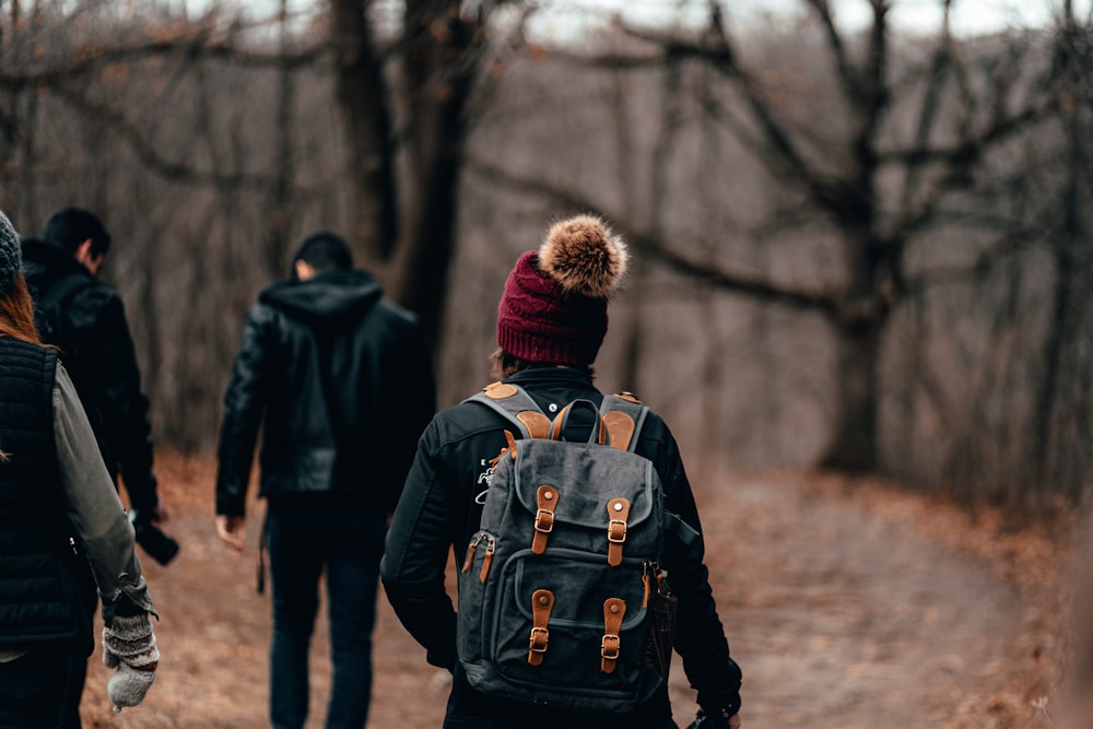 people walking in forest