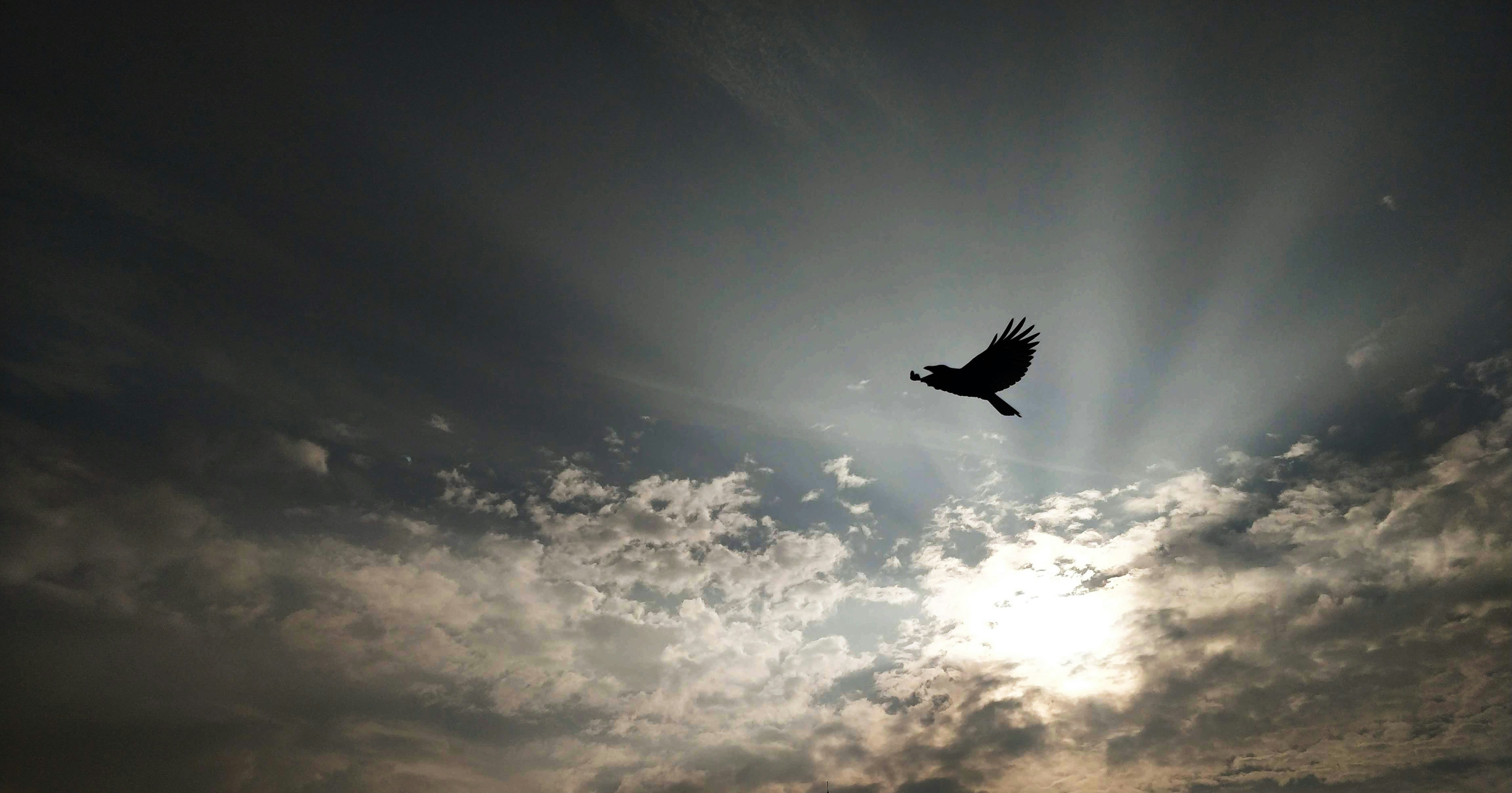 photo 1578331034707 e2de3b811b6f?ixlib=rb 4.0