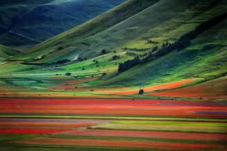 A vibrant graph overlaying a scenic landscape of rolling hills and farmland.