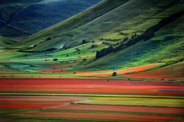 A vibrant landscape showcasing the lush hills of Colombia.