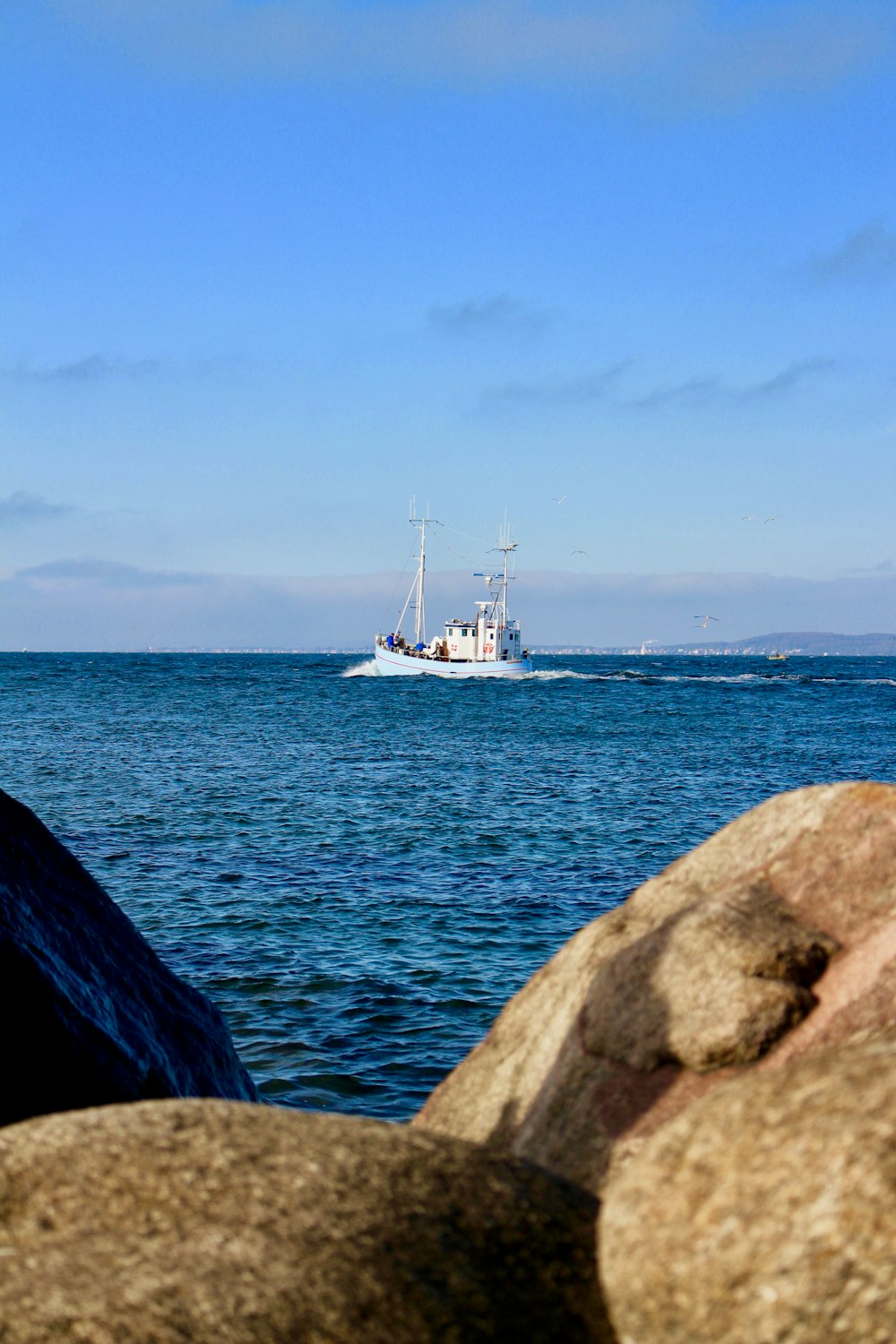 white cruise ship on the body of water photograph