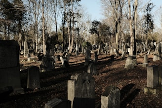 A cemetery is depicted with numerous gravestones of various shapes and sizes scattered throughout. Tall, leafless trees are visible in the background, casting shadows across the area. The ground is covered in dry leaves, suggesting an autumn or early winter setting. The overall lighting is dim, with the sun low on the horizon, creating a somber atmosphere.