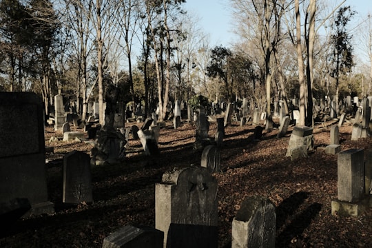 A cemetery is depicted with numerous gravestones of various shapes and sizes scattered throughout. Tall, leafless trees are visible in the background, casting shadows across the area. The ground is covered in dry leaves, suggesting an autumn or early winter setting. The overall lighting is dim, with the sun low on the horizon, creating a somber atmosphere.