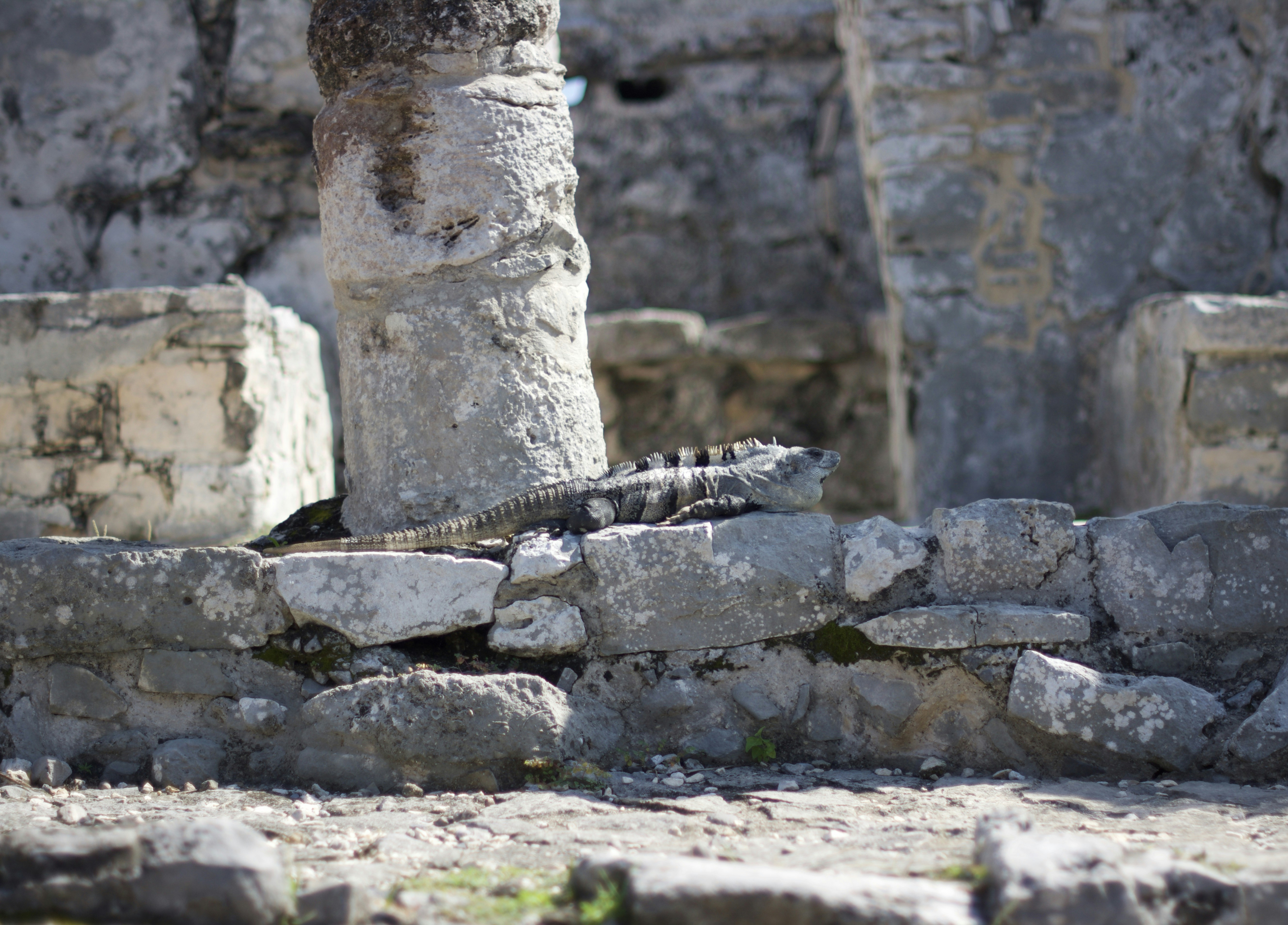 Delos
