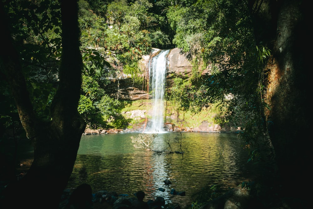waterfalls surrounded with green trees