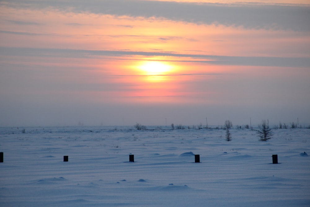 field covered with snow under orange sky