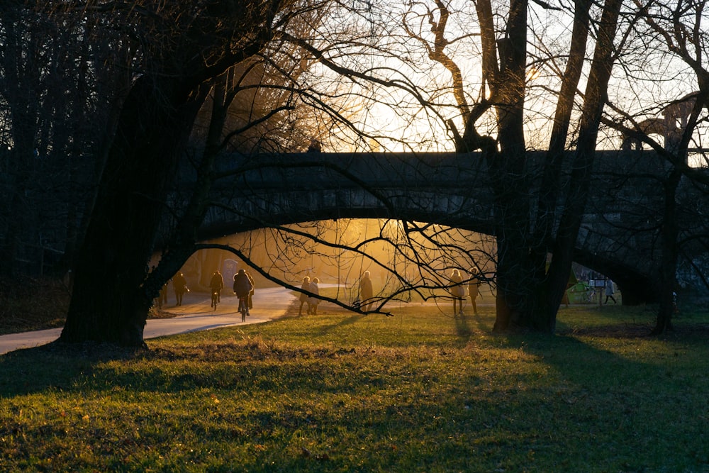 Les gens font du vélo et d’autres marchent près d’un champ vert entouré d’arbres verts