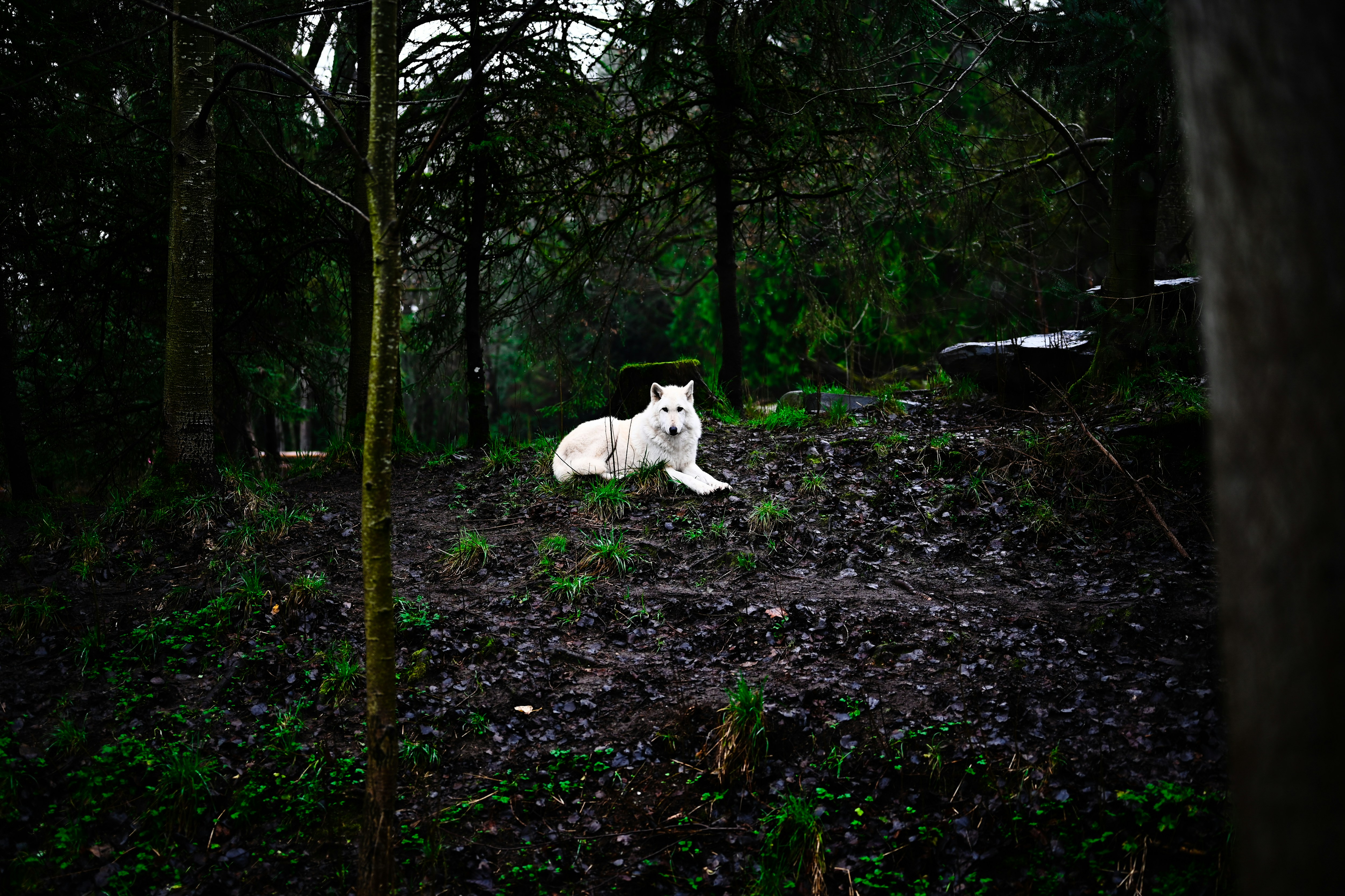 Photo by gibranhamdan