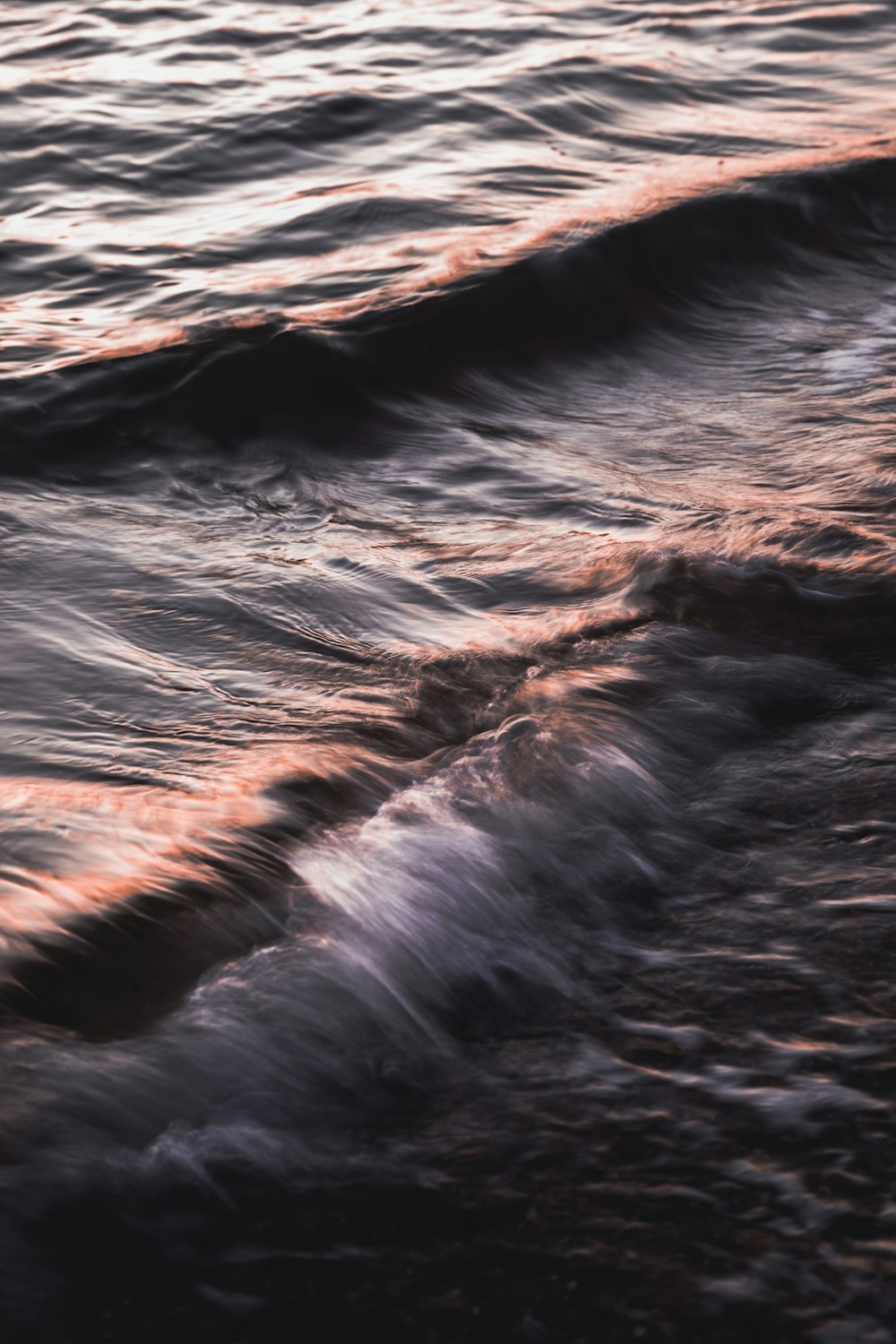 a bird flying over a body of water