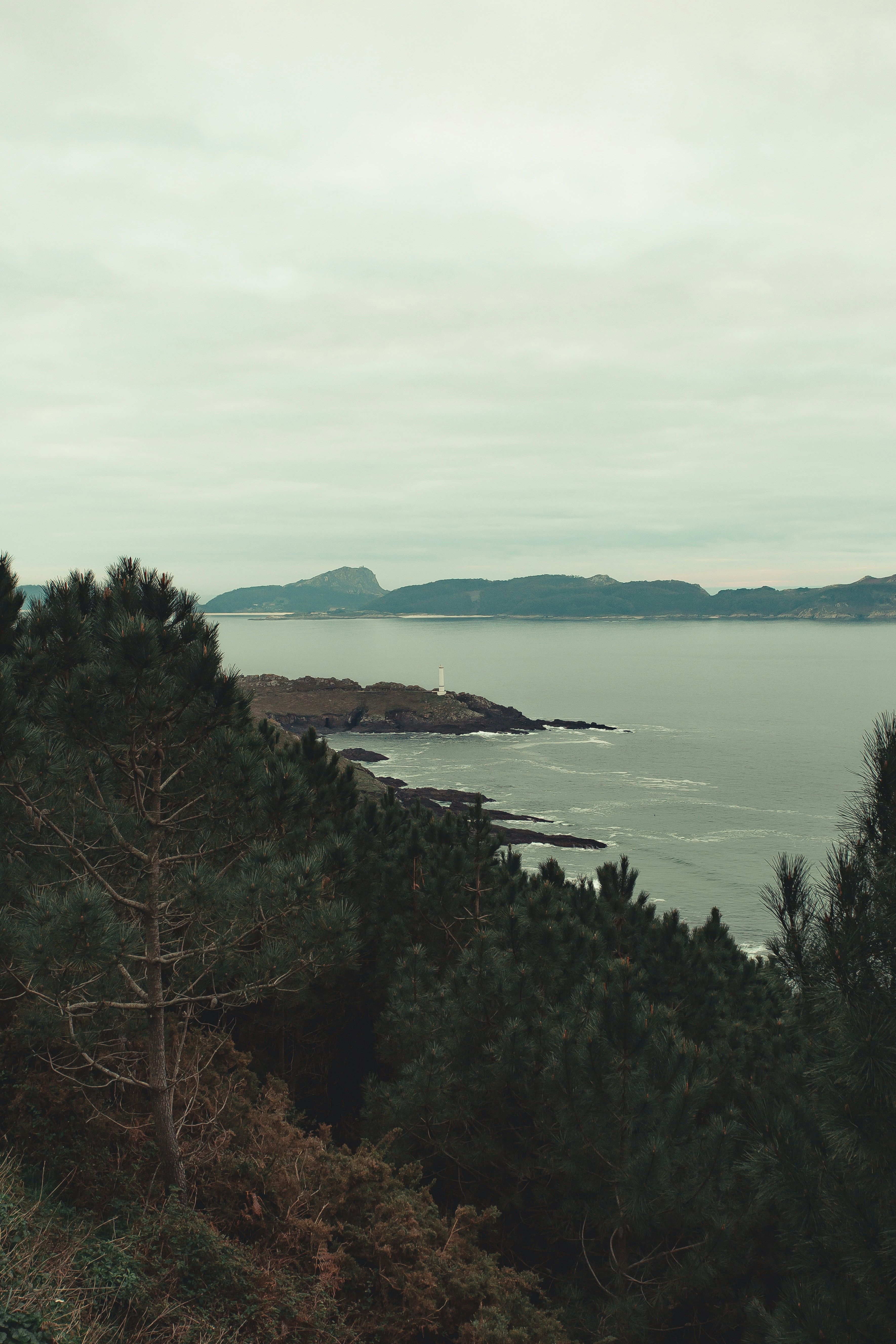 Photo by 3tnik