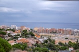A coastal cityscape featuring a mix of residential homes and high-rise apartment buildings with a backdrop of the calm sea and an overcast sky. The foreground is filled with green trees and various colorful houses.