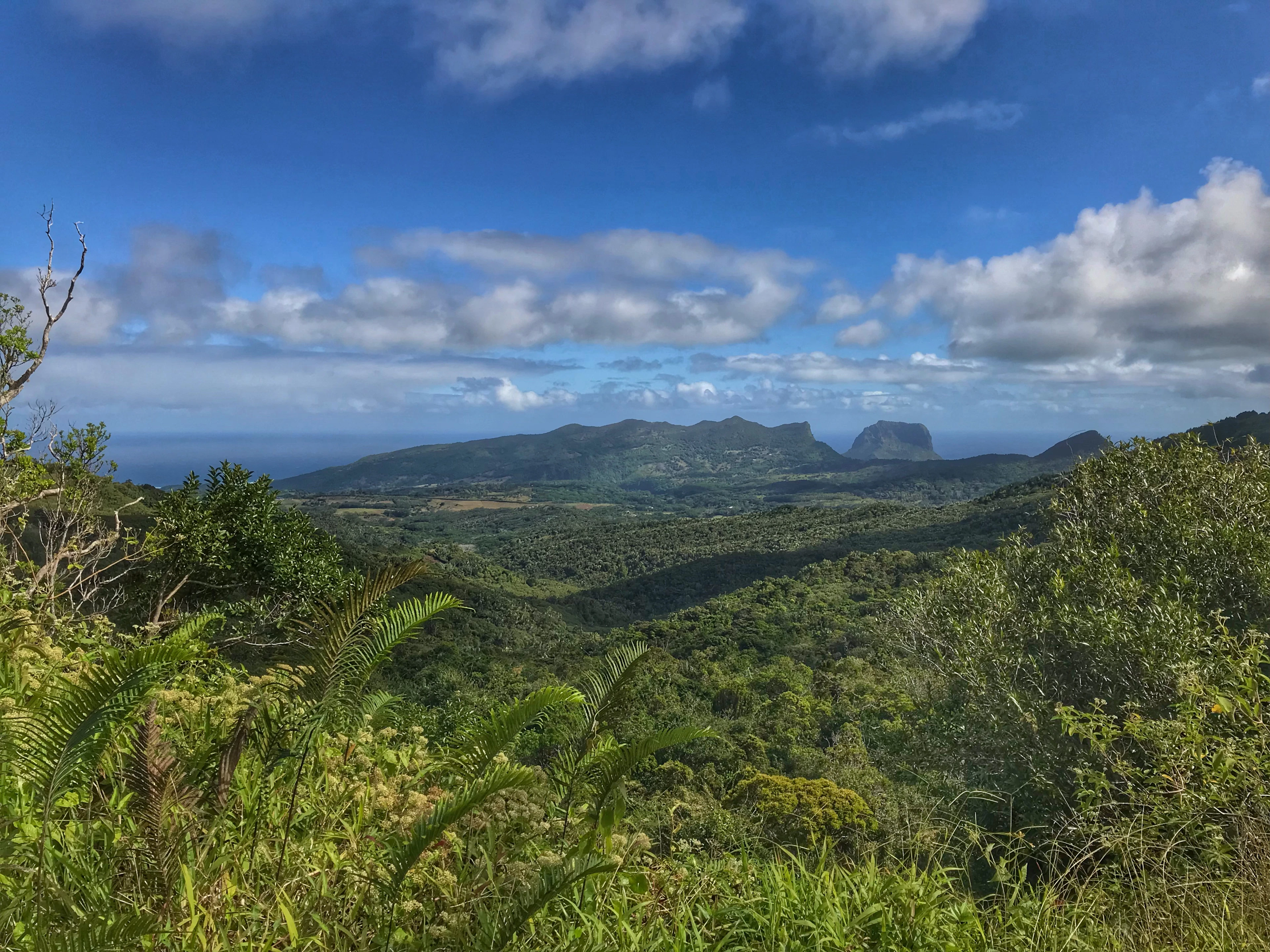 A green forested valley stretches toward distant peaks under a blue sky with scattered clouds.