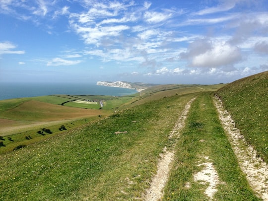 green grass field photograph in Isle of Wight United Kingdom