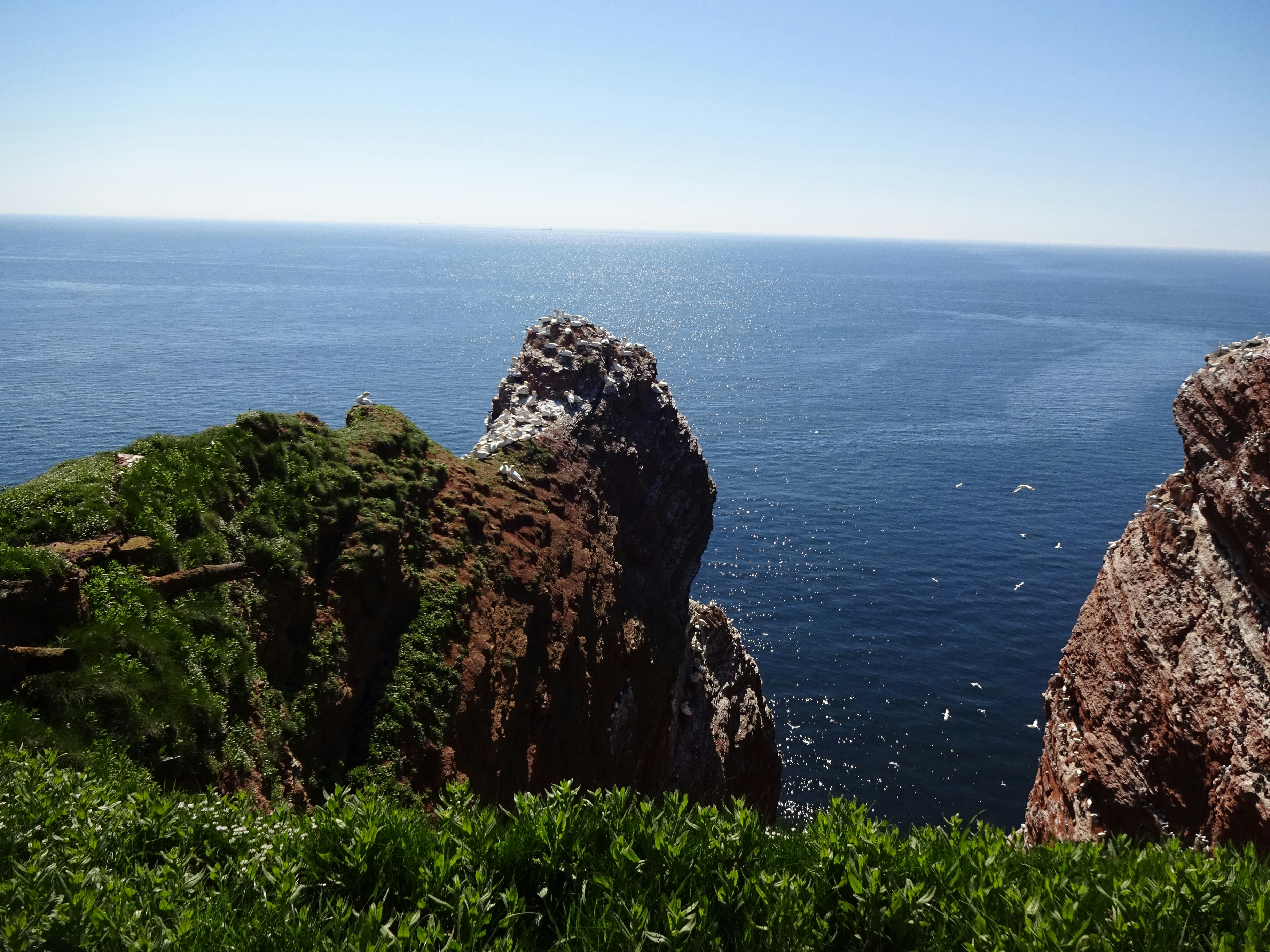beach cliff viewing blue body of water during daytime