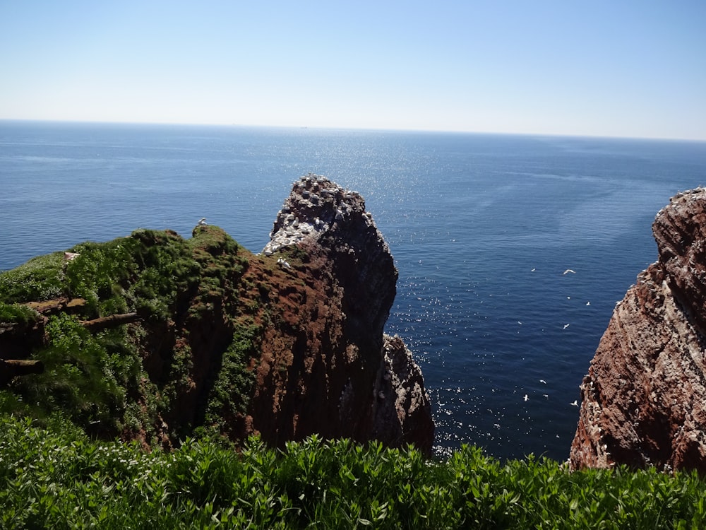 beach cliff viewing blue body of water during daytime