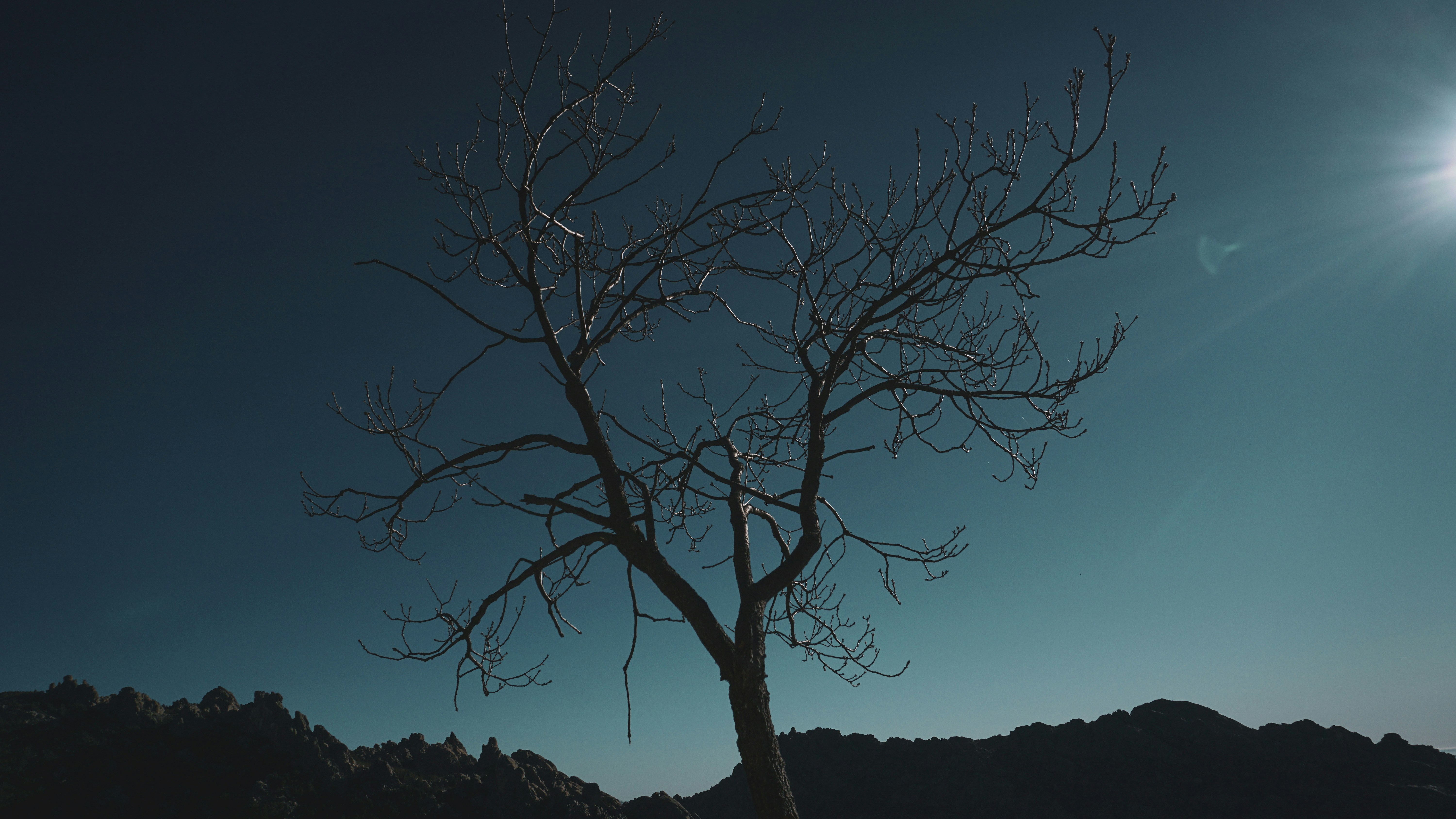 Photo by mikamagister