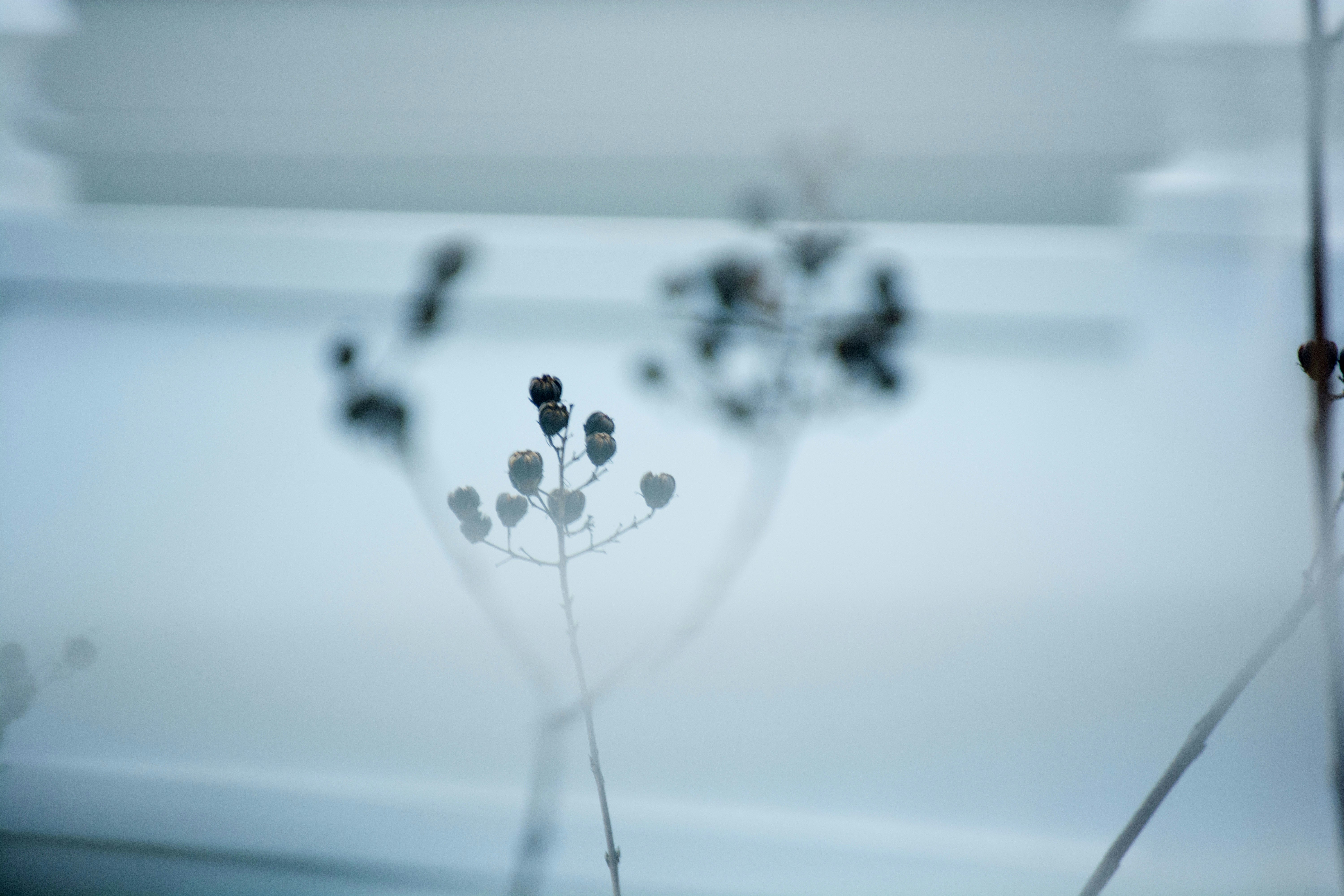 Photo by gretchenversace